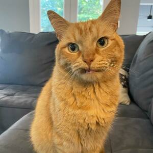 Fundraising Page: Hilary Delman